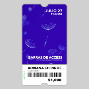 Barras de Access – Certificación internacional - Julio 27, 2025 (anticipo)