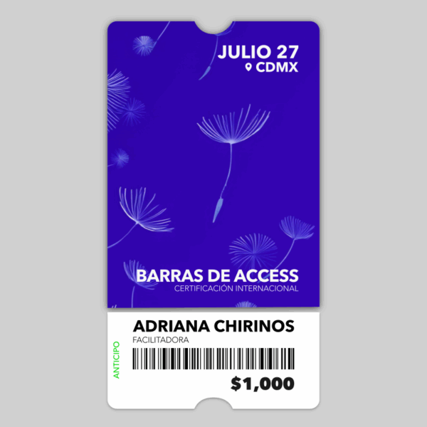 Barras de Access – Certificación internacional - Julio 27, 2025 (anticipo)