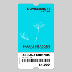 Barras de Access – Certificación internacional - Noviembre 15, 2025 (anticipo)