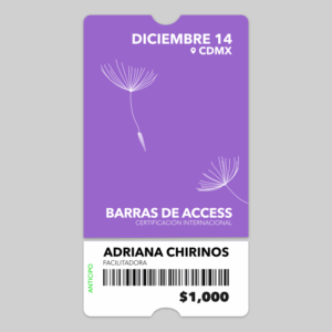 Barras de Access – Certificación internacional - Diciembre 14, 2025 (anticipo)
